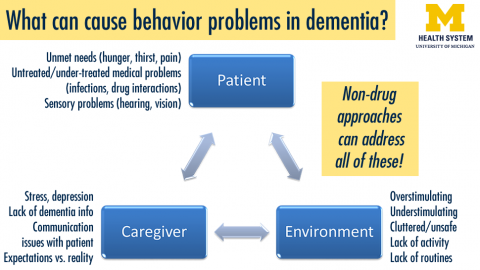 Dementia Views You Can Use: Calm Disturbing Dementia Behavior Without Drugs